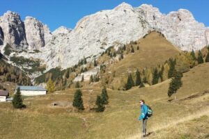Dolomiti Bellunesi