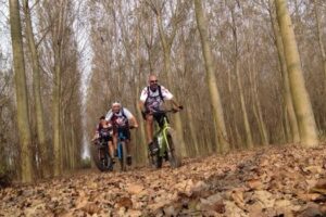 fat bike