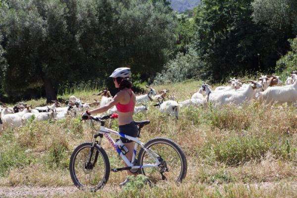 mtb in sardegna